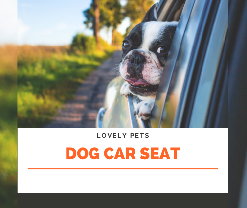 Dog Car Seats